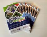 Seven Walk Fest programmes spread out on a table top