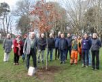 Planting a tree in Ashcombe Park to mark the Queen's Platinum Jubilee