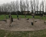 Photo showing new gym equipment installed outside at St John’s Field in Weston-super-Mare.