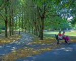 Two people sat on a bench next to a path under trees in Millennium Park, Nailsea