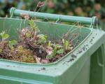 a green bin full of garden waste