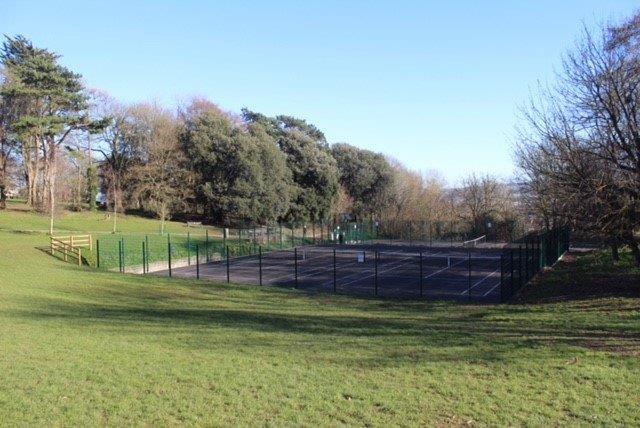 grassy area surrounding Ashcombe Park tennis courts