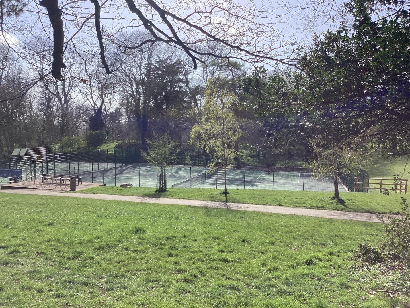 Ashcombe Park tennis courts from the side